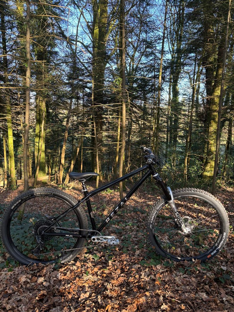 Used Rezal Custom SRAM GX Eagle 2026 MTB