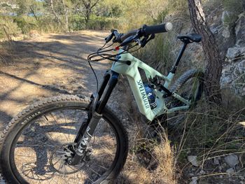 Used Specialized Turbo Levo 3 Comp Carbon 2023 2023 Mountainbike, Green, 29, 27.5 — image 2 of 10