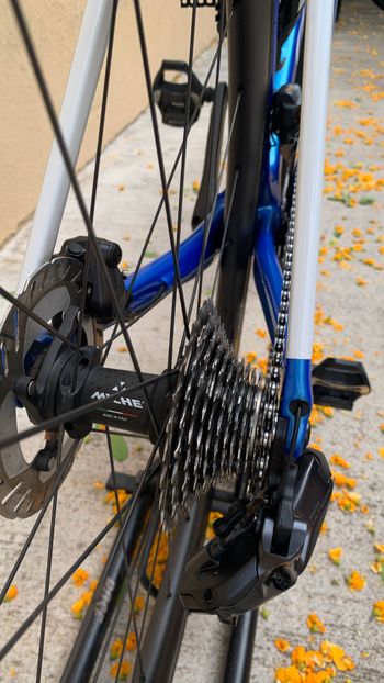 Used Wilier Filante SL Ultegra 12sp Di2 Disc - Size XL 2026 Road & Gravel, Blue — image 6 of 13