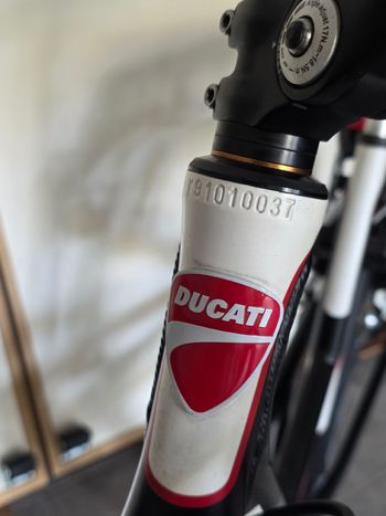Tweedehands Ducati Custom Shimano Nexus Hub Gear Urban — afbeelding 6 van 9