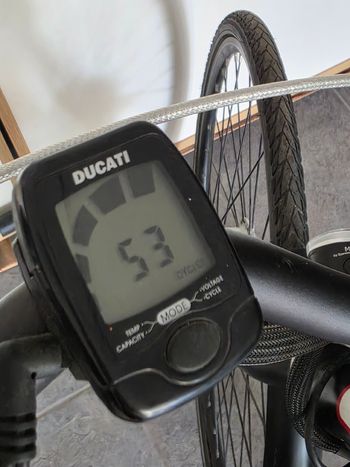Tweedehands Ducati Custom Shimano Nexus Hub Gear Urban — afbeelding 8 van 9