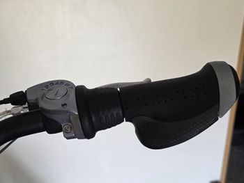 Tweedehands Ducati Custom Shimano Nexus Hub Gear Urban — afbeelding 5 van 9