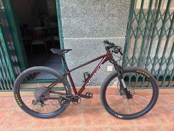 Gebrauchtes Orbea ALMA H11 2024 2024 MTB