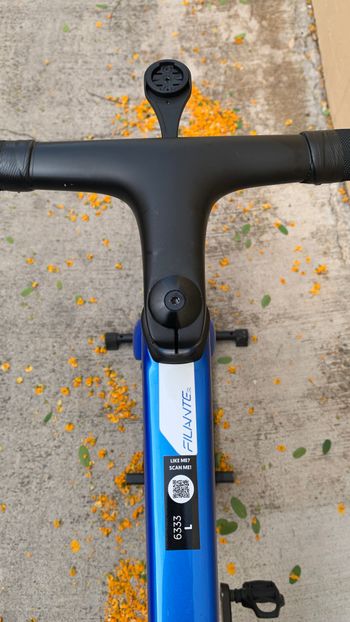 Used Wilier Filante SL Ultegra 12sp Di2 Disc - Size L 2026 Road & Gravel, Blue — image 2 of 14
