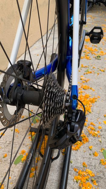 Used Wilier Filante SL Ultegra 12sp Di2 Disc - Size L 2026 Road & Gravel, Blue — image 9 of 14