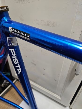 Used Pinarello Custom Frameset 2010 Road & Gravel, Blue — image 7 of 15