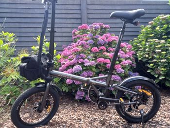 Tweedehands Engwe Custom Other Shimano 2026 Urban — afbeelding 2 van 12