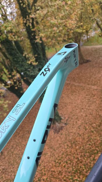 Brugt Alpha Bikes Cadre VTT Fury SL 29 Pouces Frameset 2025 Mountainbike — billede 5 af 5