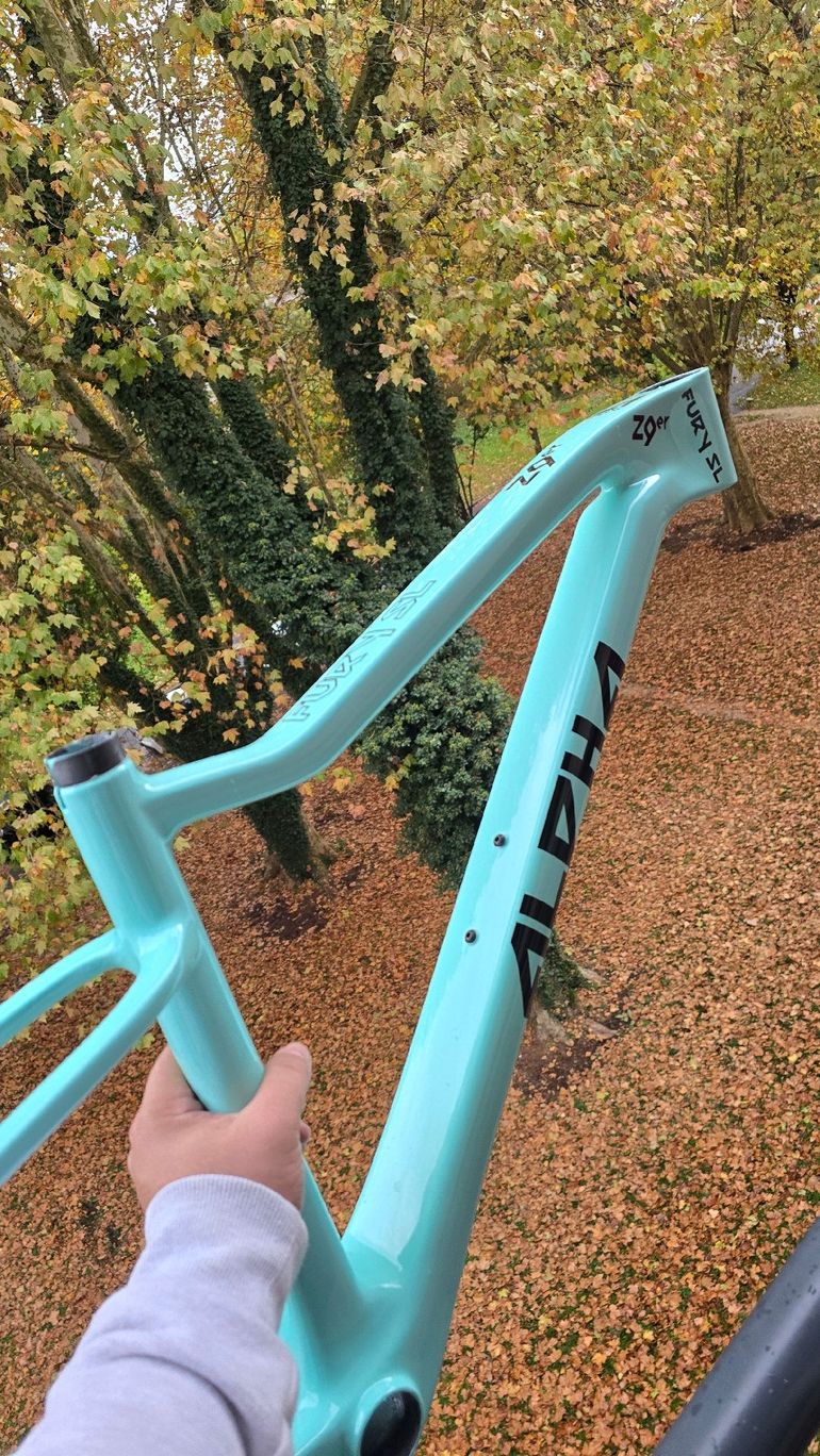 Brugt Alpha Bikes Cadre VTT Fury SL 29 Pouces Frameset 2025 Mountainbike — billede 4 af 5
