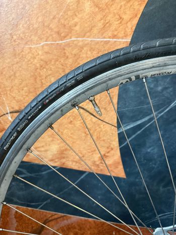 Used Bianchi Rekord 748 1980 Road & Gravel, Light Gray — image 16 of 18