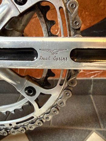 Used Bianchi Rekord 748 1980 Road & Gravel, Light Gray — image 12 of 18