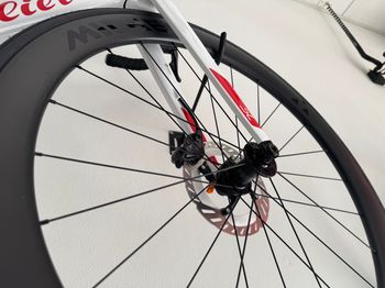 Used Wilier Filante SL SHIMANO ULTEGRA Di2 2x12 R8170 2026 2026 Road & Gravel, White — image 6 of 6