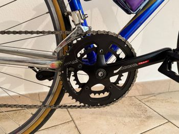 Used Colnago Master Other Campagnolo 1994 Road & Gravel, Blue — image 10 of 11