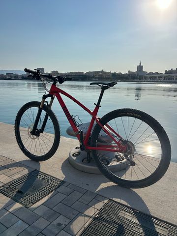 Used Rose COUNT SOLO 1 2019 2019 MTB