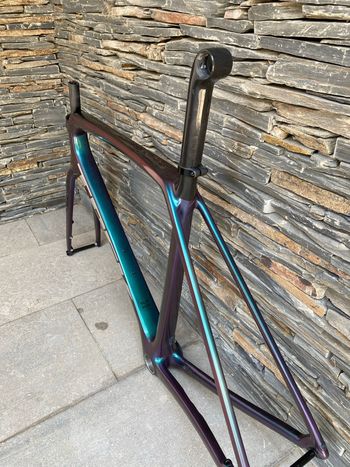 Used Trek Émonda SLR 7 eTap 2022 Frameset 2022 Road & Gravel, Green — image 2 of 11
