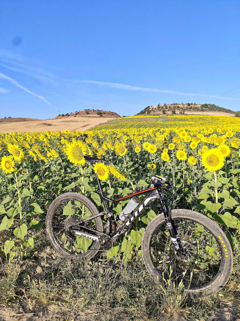 Gebrauchtes Scott Spark Sram Eagle Transmission X0 2020 Mountainbike, Schwarz — Bild 3 von 3