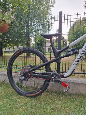 Used Canyon Spectral 125 AL 5 2022 2022 Mountainbike, Light Gray, 29 — image 3 of 8
