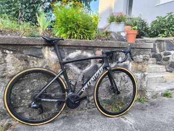Used Specialized Tarmac SL7 Expert 2023 2023 Road & Gravel