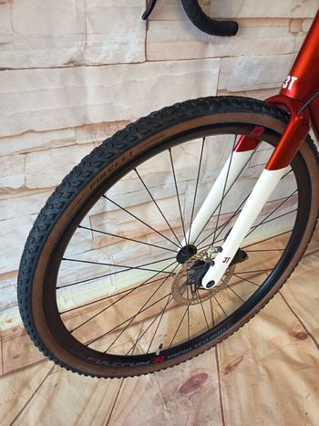 Used 3T Exploro Campagnolo Ekar 2024 Road & Gravel, White — image 9 of 10