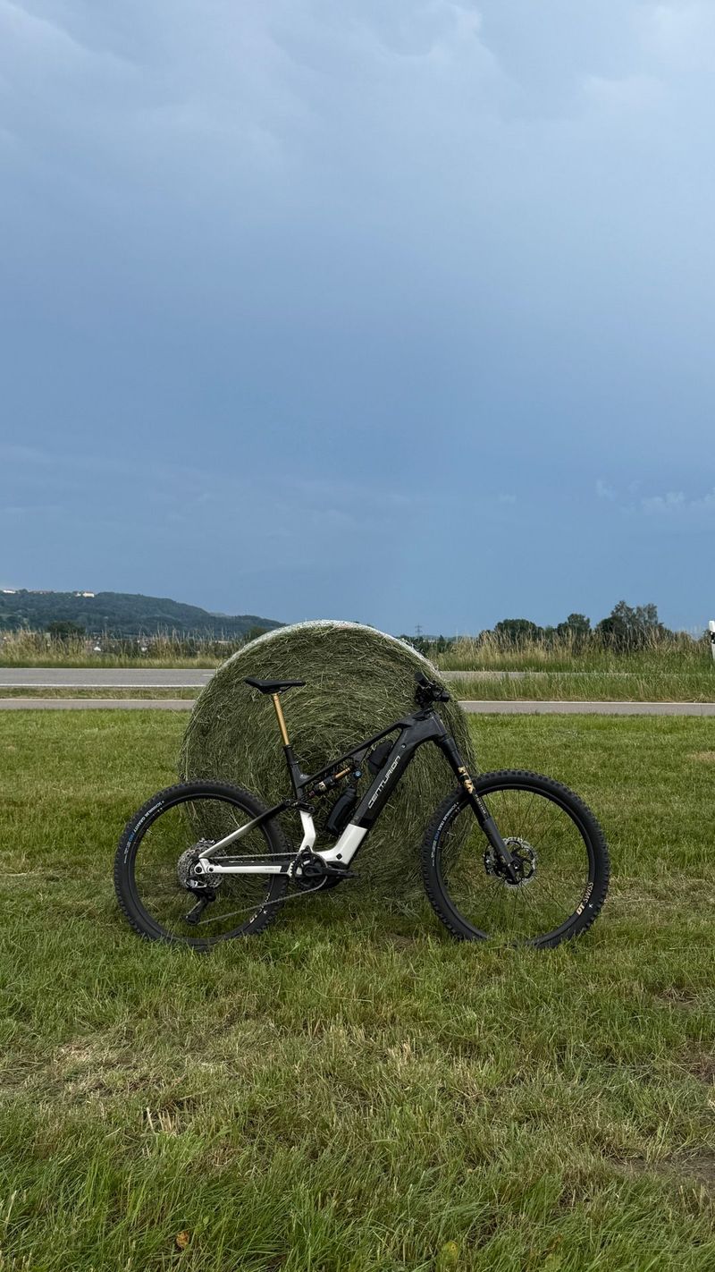 Used Centurion No Pogo R76 2026 2026 MTB