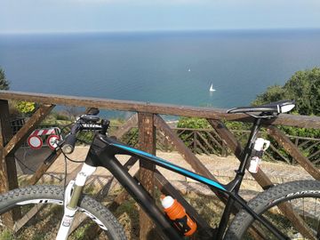 Gebrauchtes Focus Raven SRAM X01 Eagle 2019 MTB