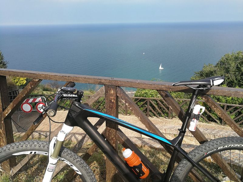 Used Focus Raven SRAM X01 Eagle 2019 MTB