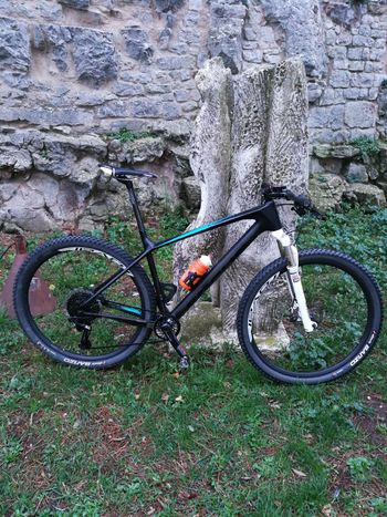 Used Focus RAVEN 8.7 2019 2019 Mountainbike, Black — image 7 of 7