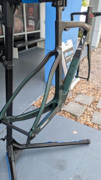 Used Pinarello F9 - FRAMESET Frameset 2025 Road & Gravel, Green — image 3 of 5