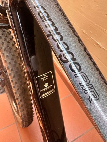 Lee Cougan Rampage 428 Comp 2025 2025 Mountainbike d'occasion — image 4 sur 6