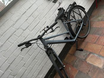 Gebrauchtes ELOPS City Bike 28 Zoll LD500 LF hellgrau 2025 2025 Urban, Hellgrau — Bild 2 von 3