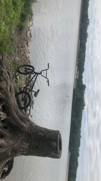 Used Haro bmx Custom Shimano Dura Ace Di2 2020 Kids & Youth