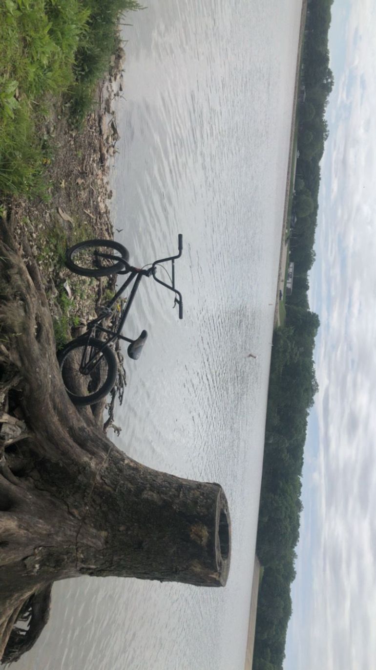 Used Haro bmx Custom Shimano Dura Ace Di2 2020 Youth, Black — image 1 of 3