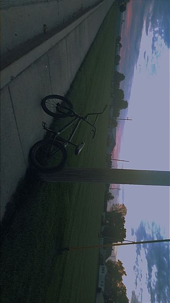 Used Haro bmx Custom Shimano Dura Ace Di2 2020 Youth, Black — image 3 of 3