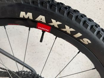 Used Cervélo ZFS-5 120 XO AXS 2024 2024 Mountainbike, Black, 29 — image 2 of 12