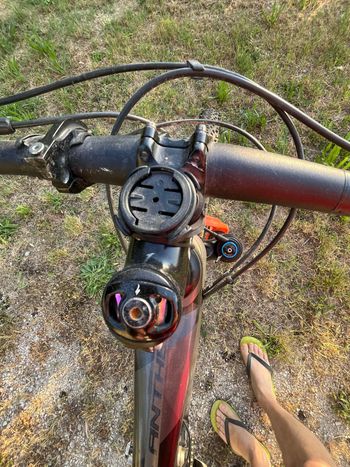 Brugt Giant Anthem SRAM GX Eagle AXS 2021 Mountainbike — billede 4 af 13
