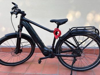 Gebrauchtes Giant Custom 2025 Urban, Schwarz — Bild 2 von 7