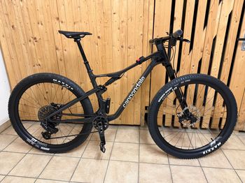 Used Cannondale Scalpel 1 Lefty 2024 2024 Mountainbike, Black, 29 — image 3 of 7