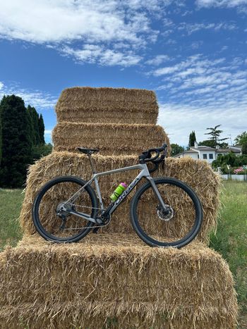 Used Orbea TERRA M30 TEAM 1X 2023 2023 Road & Gravel, Light Gray — image 6 of 9