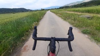 Used Specialized Diverge E5 2026 2026 Road & Gravel, Red — image 4 of 4