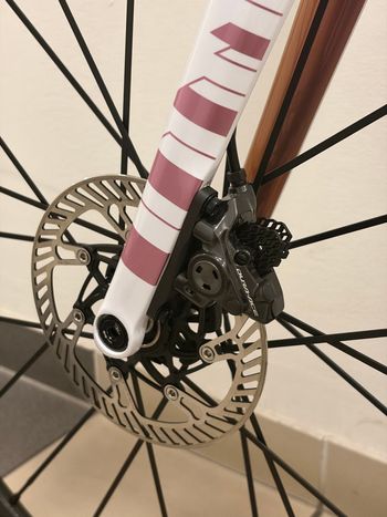 Used Bianchi Specialissima - Dura Ace Di2 2022 2022 Road & Gravel, White — image 6 of 8