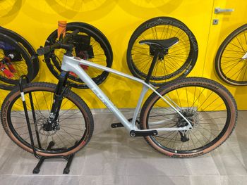 Used CUBE REACTION C:62, RACE 2026 2026 Mountainbike, Light Gray, 29 — image 4 of 4