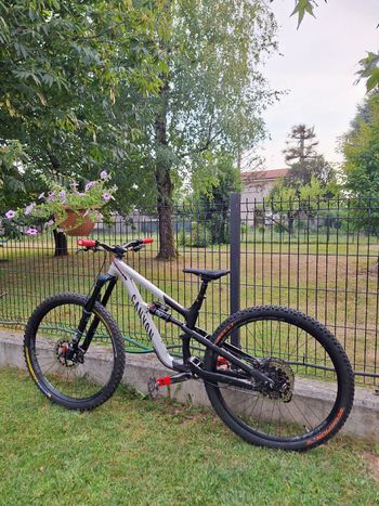 Used Canyon Spectral 29 AL 5 2022 2022 Mountainbike, Light Gray, 29 — image 2 of 9