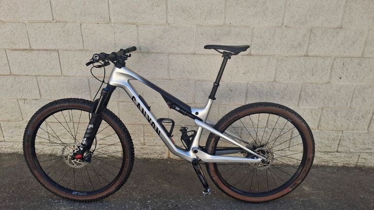 Used Canyon Lux Trail CF 6 2024 2024 Mountainbike, Light Gray, 29 — image 2 of 9
