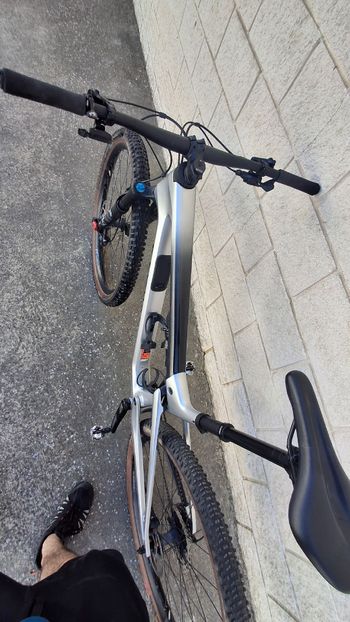 Used Canyon Lux Trail CF 6 2024 2024 Mountainbike, Light Gray, 29 — image 5 of 9