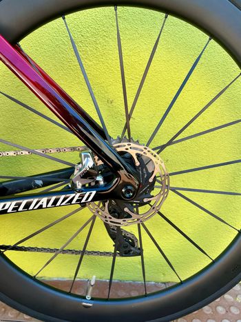 Specialized Tarmac SRAM Red eTap AXS 2024 Road & Gravel d'occasion — image 9 sur 10