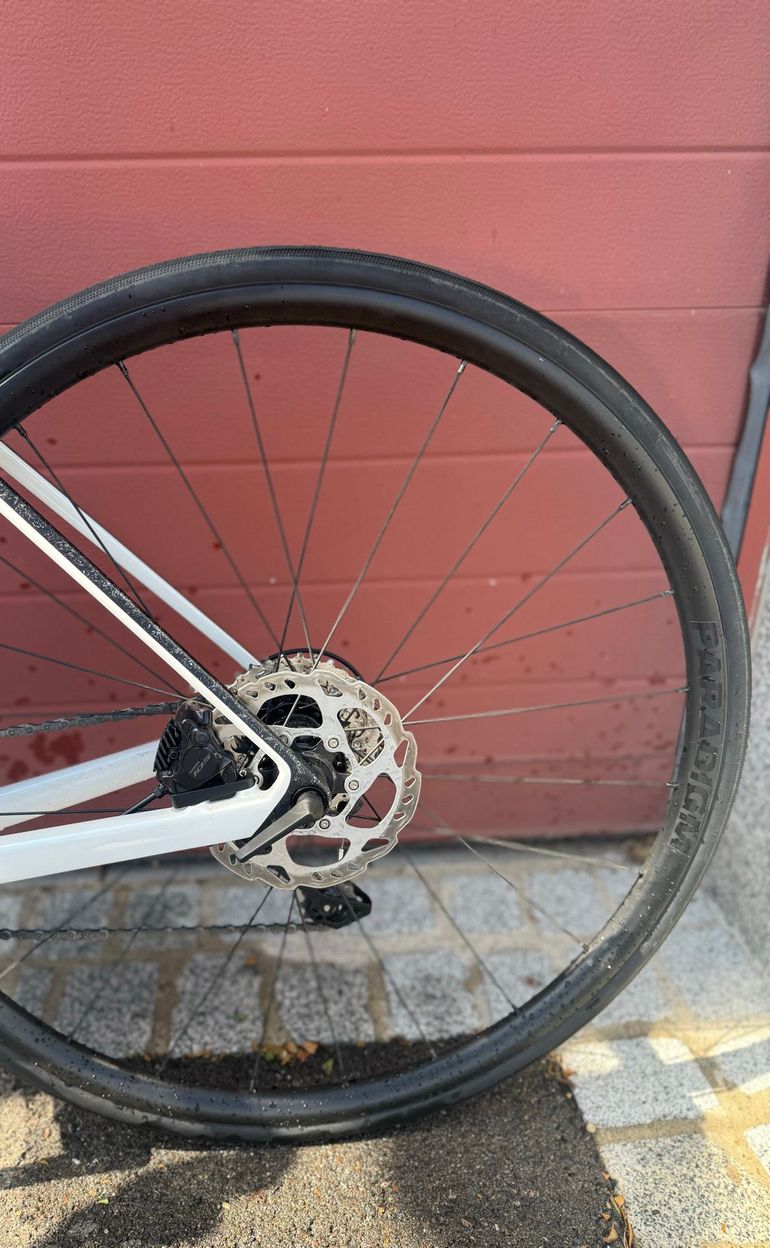 Used Trek Madone SL 5 Gen 8 2026 2026 Road & Gravel, White — image 5 of 10