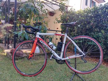 Used Wilier Montegrappa 2019 2019 Road & Gravel