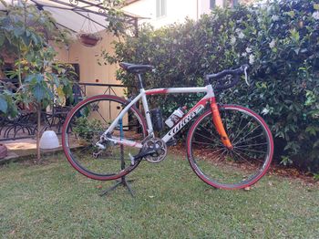 Used Wilier Montegrappa 2019 2019 Road & Gravel, White — image 2 of 3