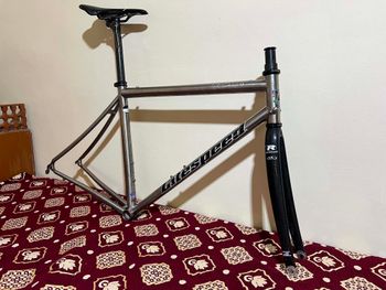 Used Litespeed Ghisallo Frameset 2006 Road & Gravel, White — image 3 of 15