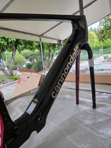 Used Cannondale Synapse Neo 2025 Frameset 2025 Road & Gravel, Black — image 7 of 8